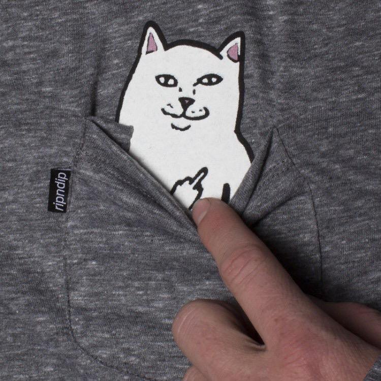뽀큐 고양이 티셔츠 사진